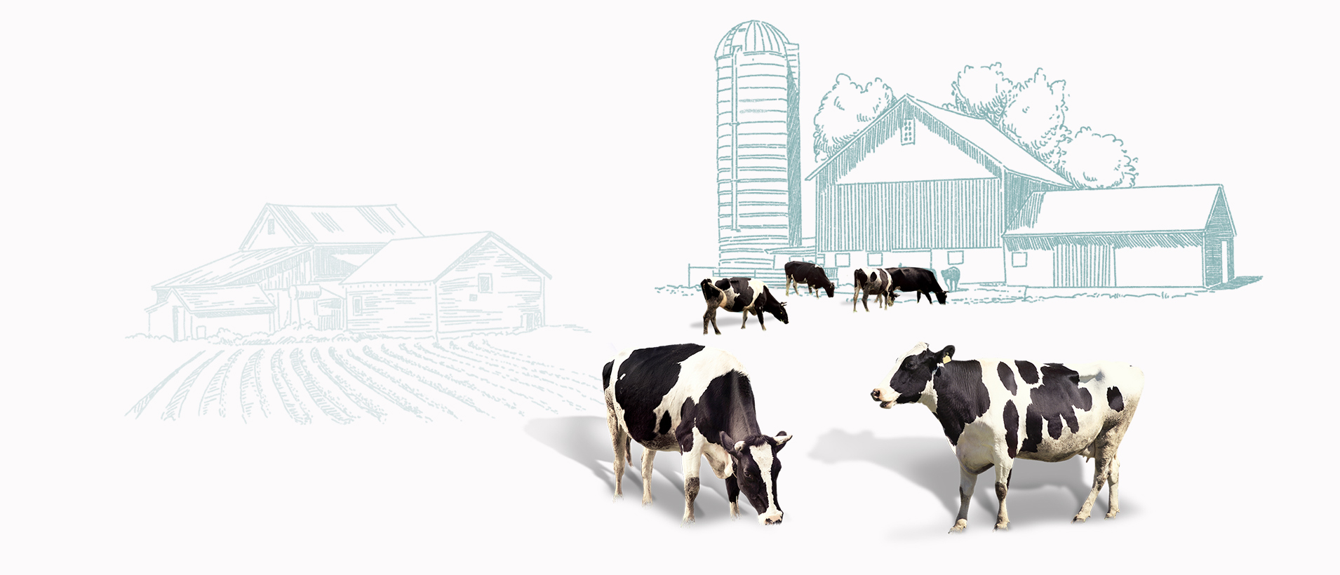 Респондеры для КРСнапрямую от производителя 06.12.25 - специальная цена!